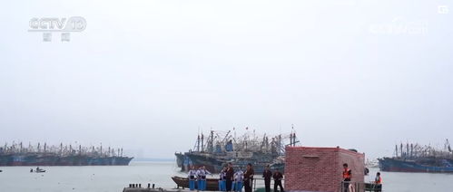 周邊產品與出境游雙輪驅動，端午經濟呈現多元新態勢