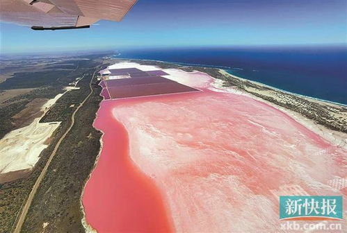 出境旅行的序章 國內(nèi)熱門打卡地盤點